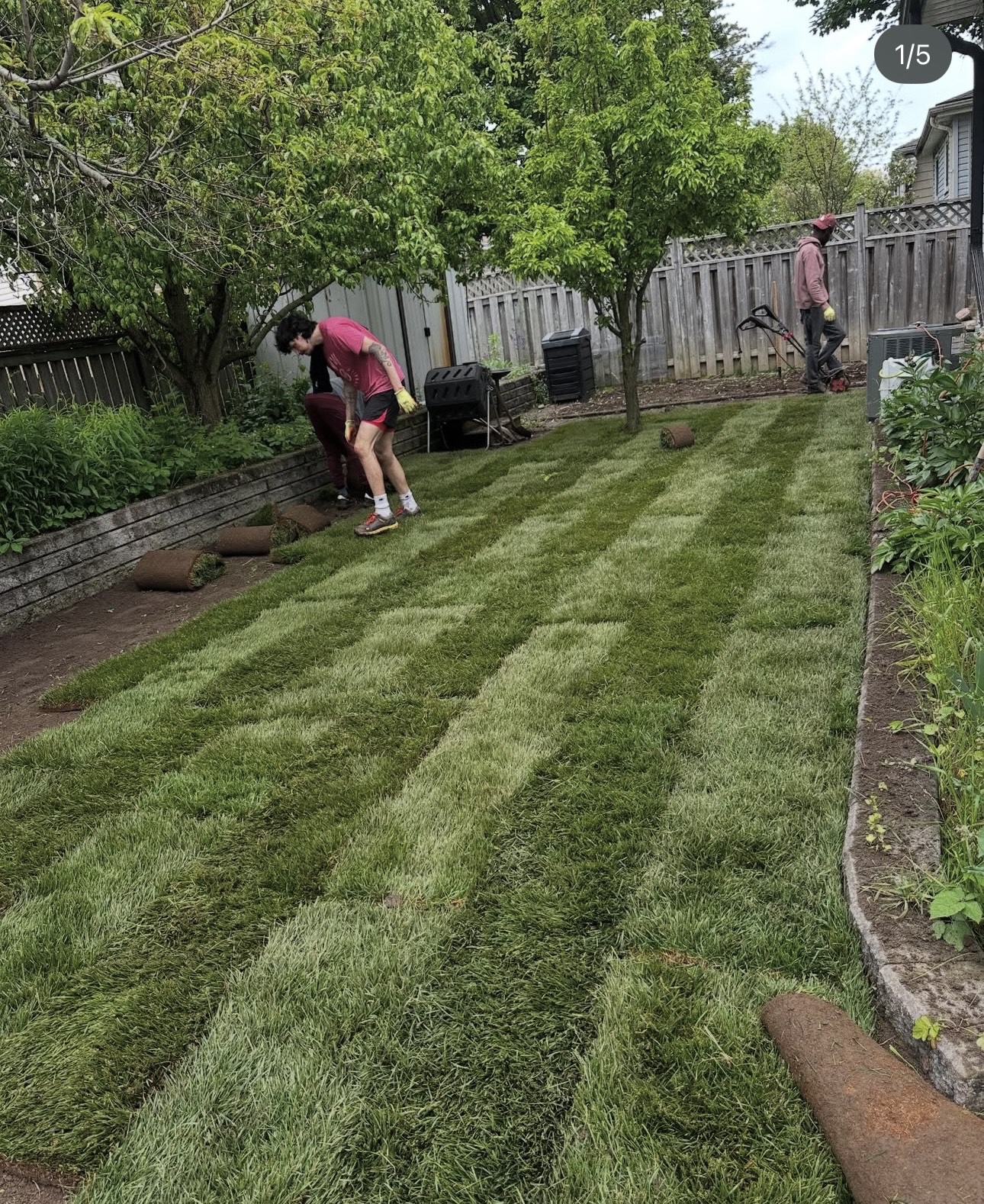 Sod Installation by Pickering Boys Landscaping