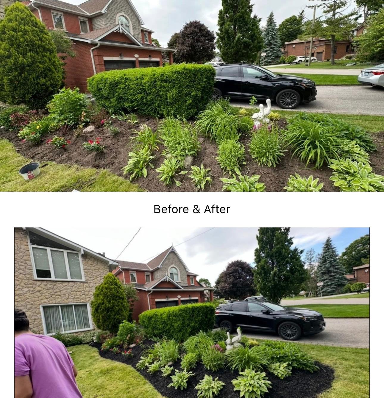 Front yard garden landscaping and planting
